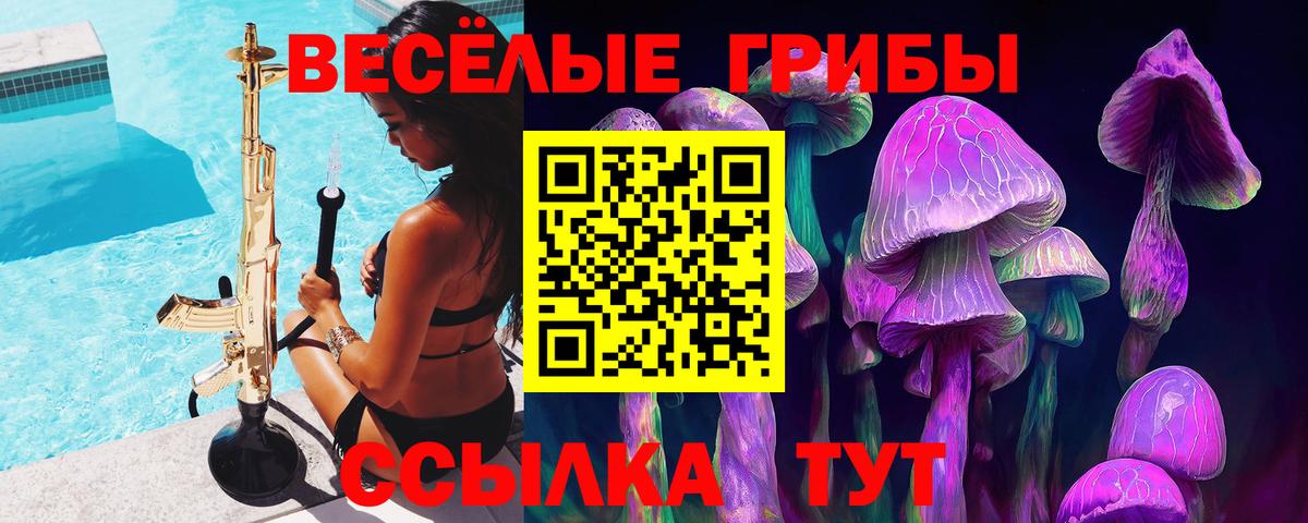 Галлюциногенные грибы GOLDEN TEACHER Новошахтинск