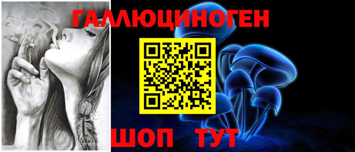 Новошахтинск  Галлюциногенные грибы прущие грибы  Галлюциногенные грибы MAGIC MUSHROOMS  Вход с VPN 