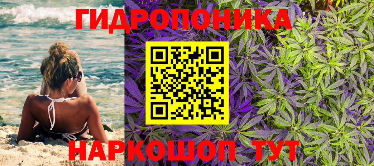 Шишки марихуана Bruce Banner  Вход с VPN  Каннабис сатива  Новошахтинск  Шишки марихуана MAZAR 